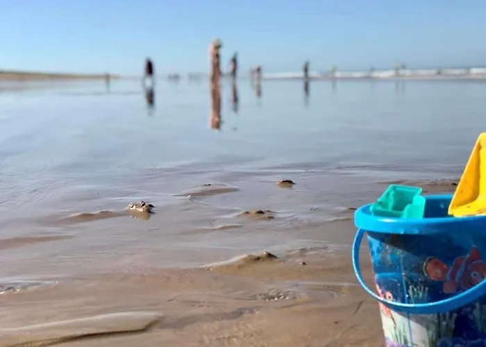 Maison Confortable à 300m De La Des Dunes Avec Jardin Et Parking Privé - Fr-1-231-188 Casa vacanze Brétignolles-sur-Mer